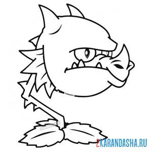 Раскраска львиный зев