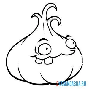 Раскраска чеснок