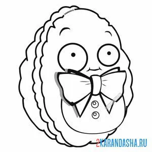 Раскраска стенорех