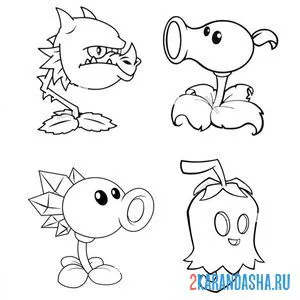 Раскраска разные растения