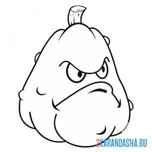 Раскраска кабачок