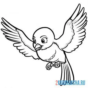 Раскраска птичка миа