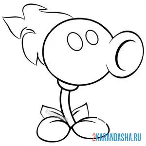 Раскраска пламенный горох