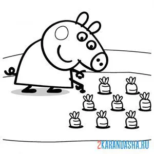 Раскраска в огороде