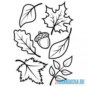 Раскраска осенние листья онлайн