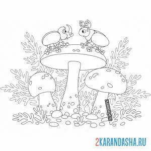 Распечатать раскраску жуки и грибы на А4