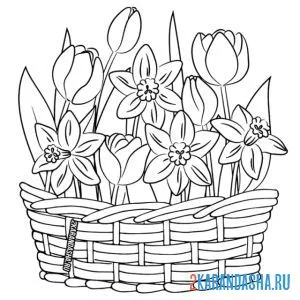 Раскраска корзинка с цветами и тюльпаны онлайн