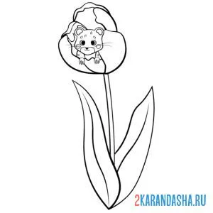 Раскраска в тюльпане мышонок онлайн