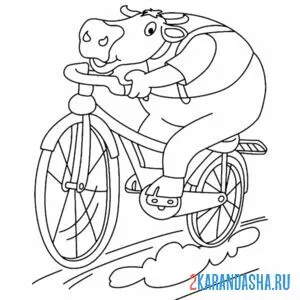 Раскраска бык на велосипеде