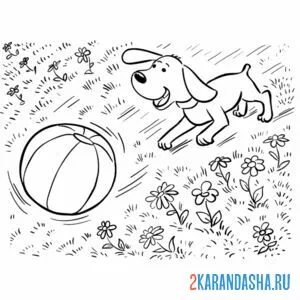 Раскраска собачка бежит за мячом