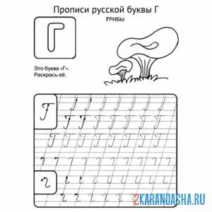 Раскраска буква г пропись гриб