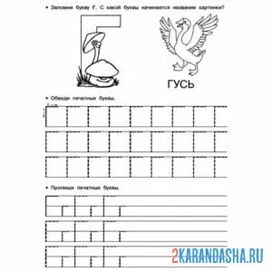 Раскраска обведи букву г