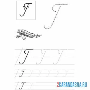 Раскраска прописная буква г пропись