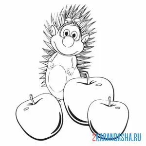 Раскраска спайк ёж