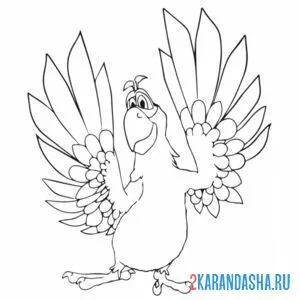 Раскраска попугай гуга