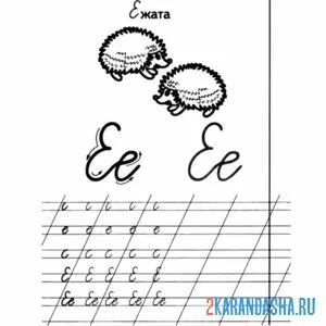 Раскраска пропись дошкольника буква е