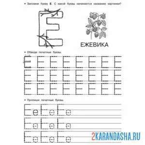 Раскраска напиши букву е