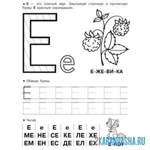 Раскраска пропись печатная буква е