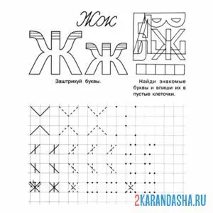 Раскраска обведи букву ж