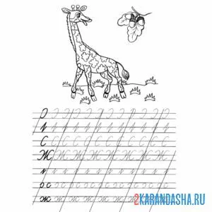 Раскраска пропись с буквой ж