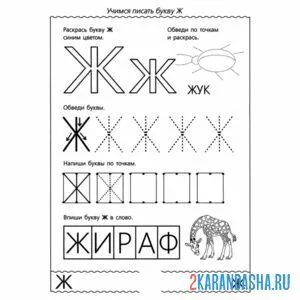 Раскраска пропись с печатной буквой ж