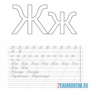 Раскраска буква ж и слова пропись