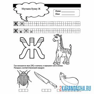 Раскраска напиши букву ж и впиши слова