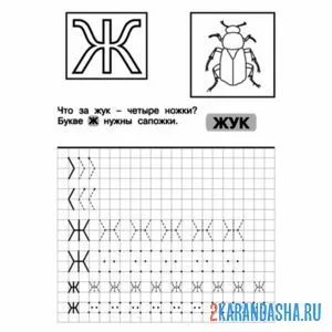 Раскраска пропись ж буква печатная