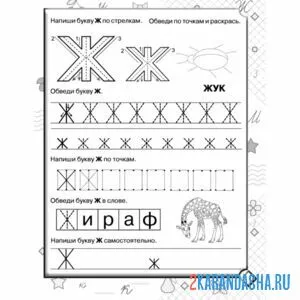 Раскраска печатная буква ж
