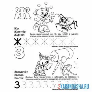 Раскраска буква ж и з пропись