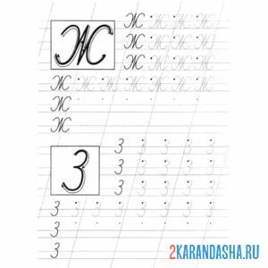 Раскраска пропись букву ж и з