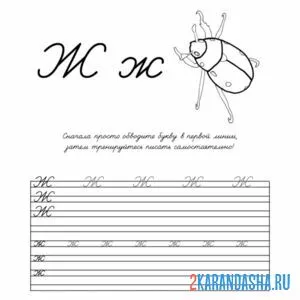 Раскраска пропись буква ж заглавная и строчная