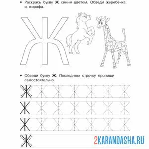 Раскраска буква ж печатная