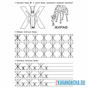 Раскраска учимся писать букву ж