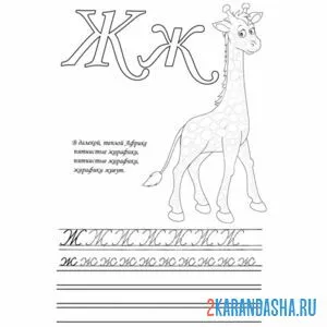 Раскраска напиши букву ж