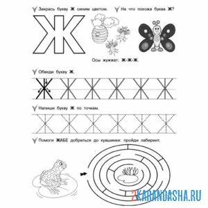 Раскраска пропись буква ж печатная