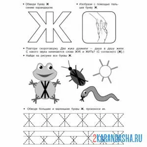 Раскраска печатная буква ж пропись