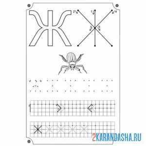 Раскраска пропись буква ж