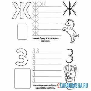 Раскраска пропись буква ж и з