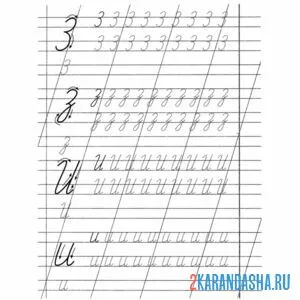 Раскраска пропись буква з и и