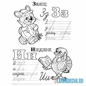 Раскраска буква з и и пропись