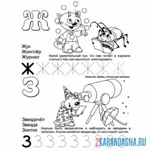 Раскраска буква ж и з