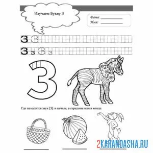 Раскраска буква з по клеточкам