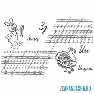 Раскраска строчные буквы з и и