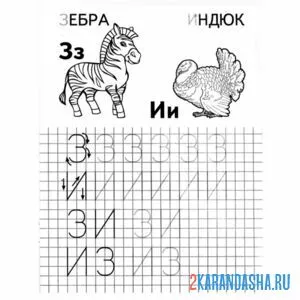 Раскраска печатная буква з и и