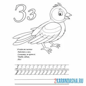 Раскраска стих и пропись буква з