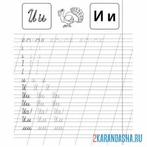 Раскраска пропись буква и строчная