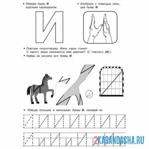 Раскраска печатная заглавная буква и пропись