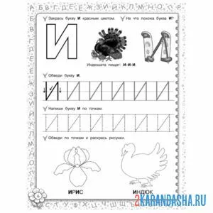 Раскраска буква и печатная пропись