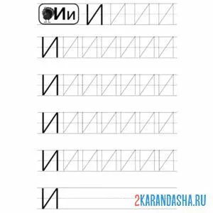 Раскраска большая буква и пропись